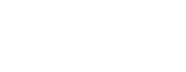 Zoso online developers logo